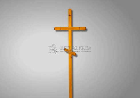 Cruce Lemn E-06-3